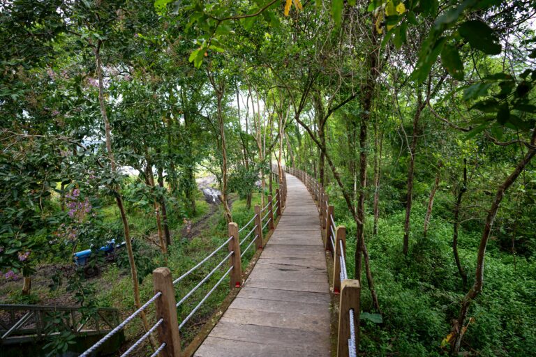 Paisagismo Etnobotânico: Plantas que Contam Histórias Culturais