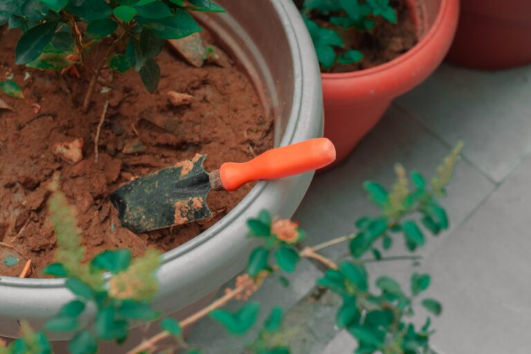 Segredos do Solo Vivo: Técnicas Práticas para Nutrir suas Plantas