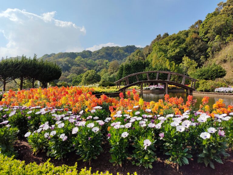 Paisagismo Sazonal: 10 Flores para um Jardim Primavera/Verão Deslumbrante