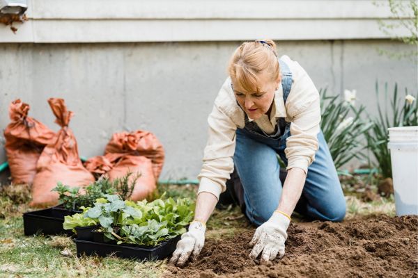 Segurança: Como Praticar Uma Jardinagem Segura